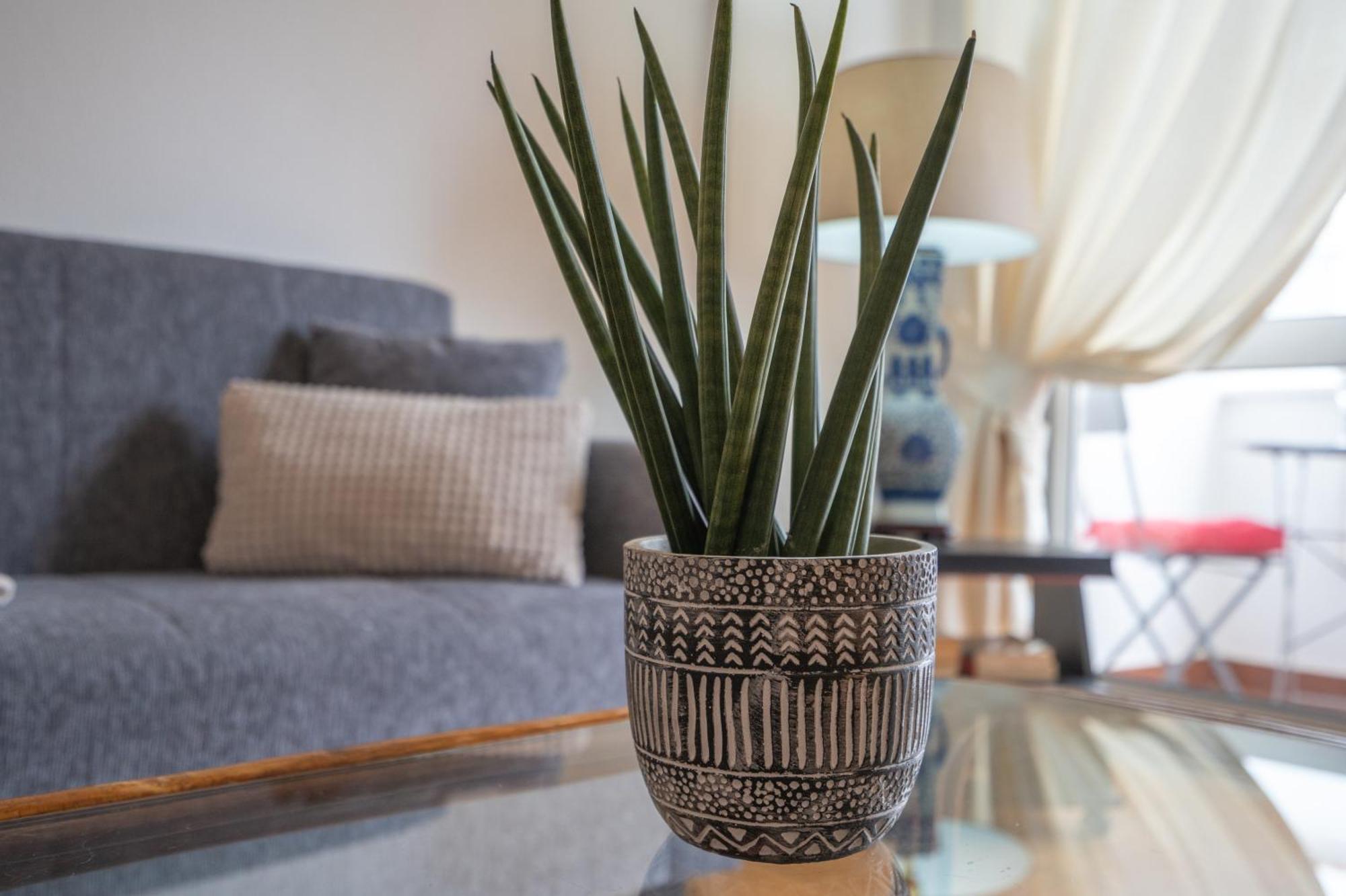 Apartamento Escadinhas Lagos Eksteriør billede